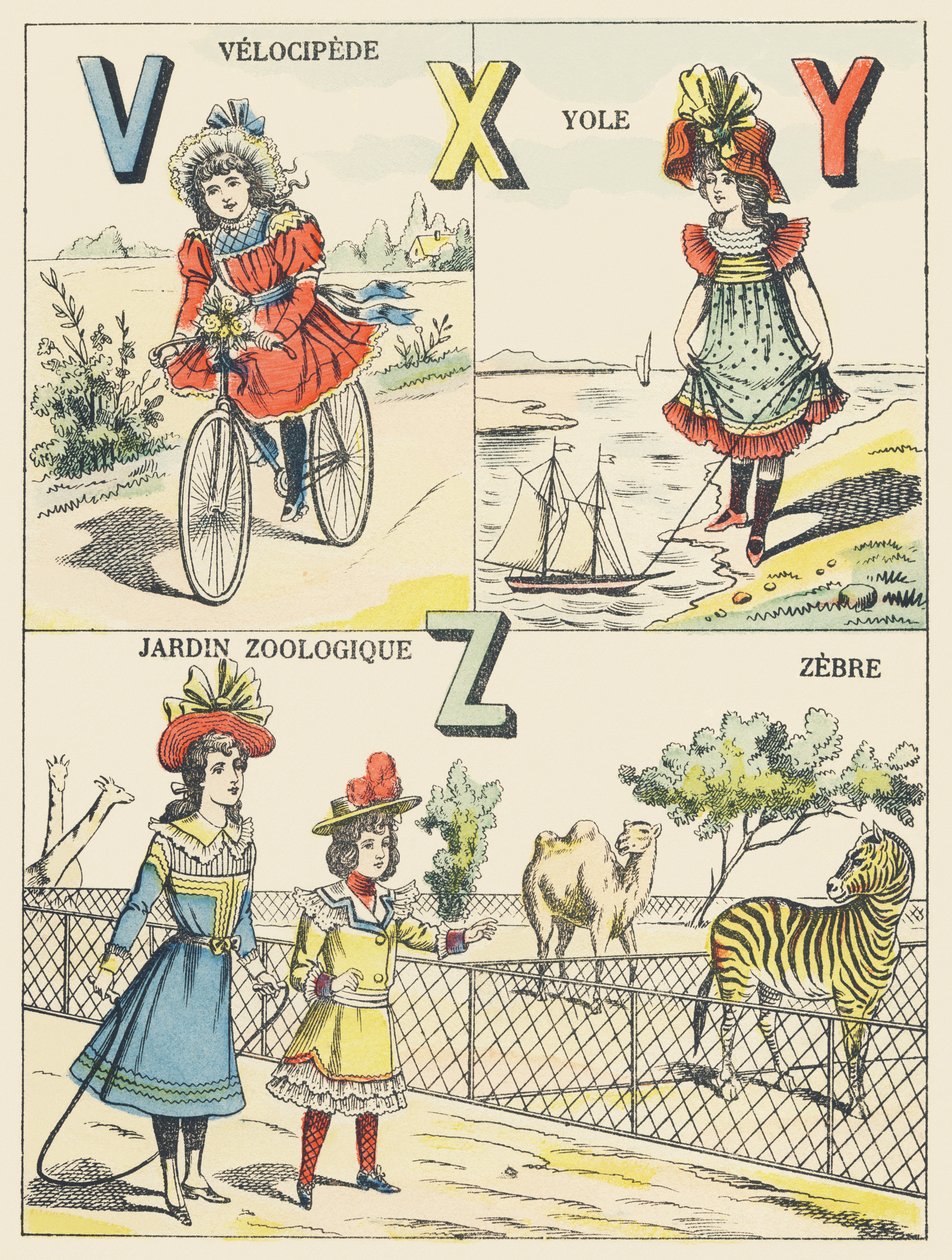 Velocipede, Yole, Zoological Garden, Zebra by French School