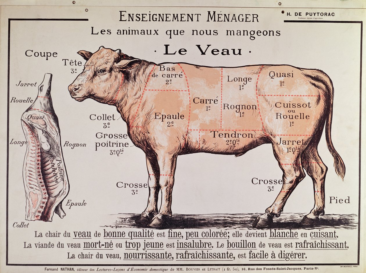 Veal: diagram depicting the different cuts of meat by French School
