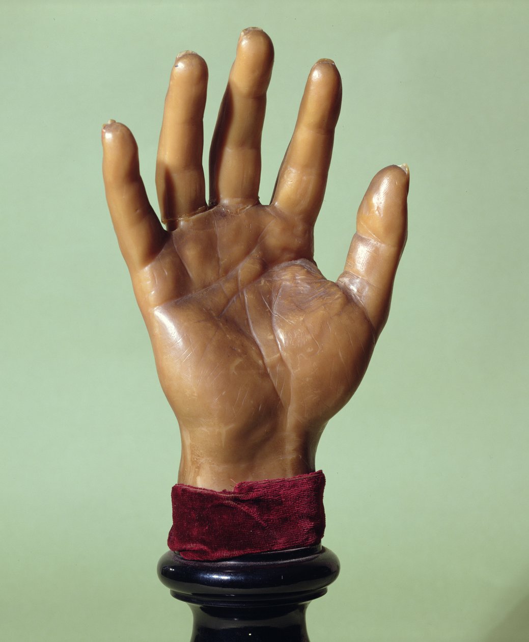 Wax cast of the hand of Jean-Baptiste Troppmann (1848-1970) 1869 by French School
