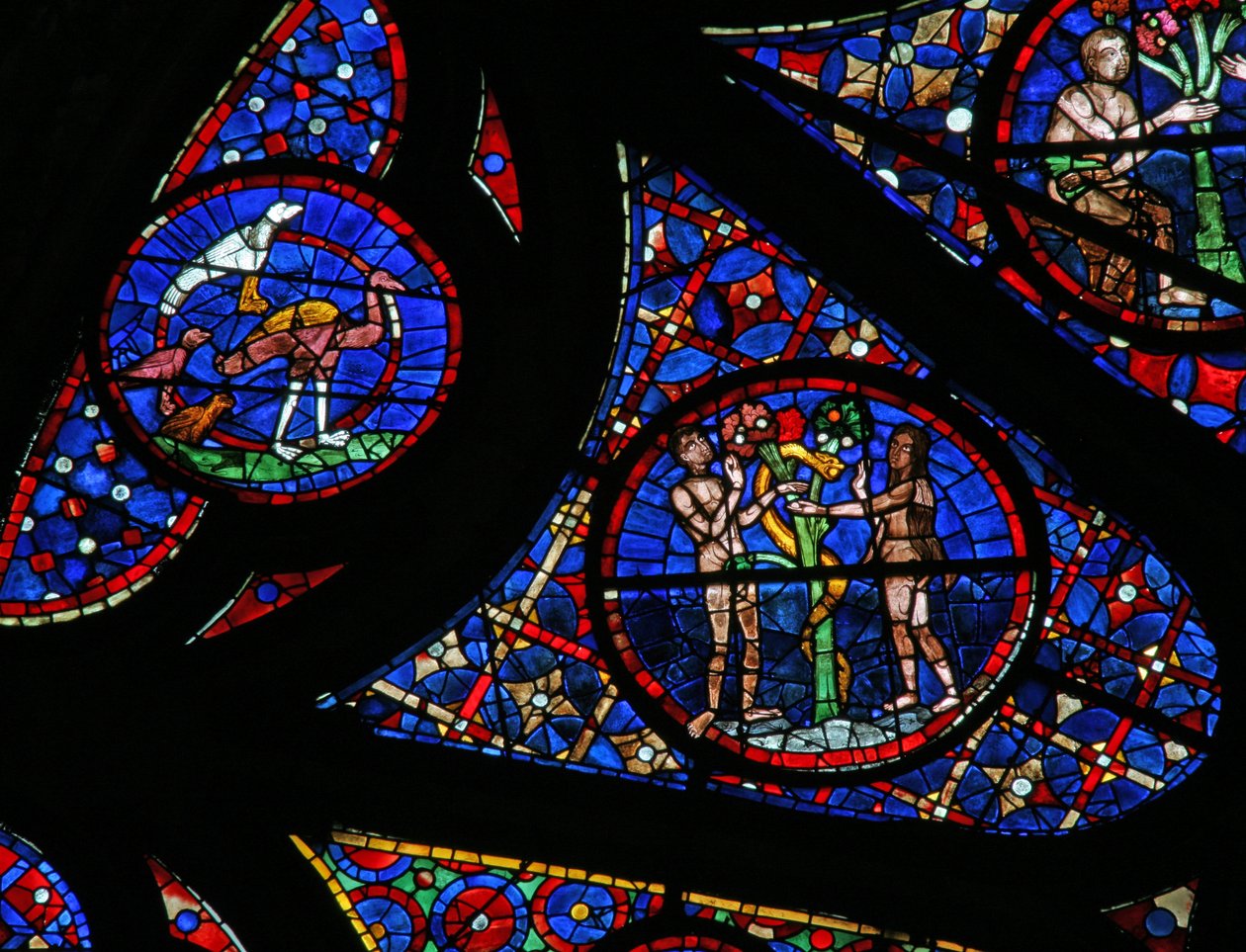 Window w115 depicting the Creation: birds, Adam & Eve & the serpent by French School