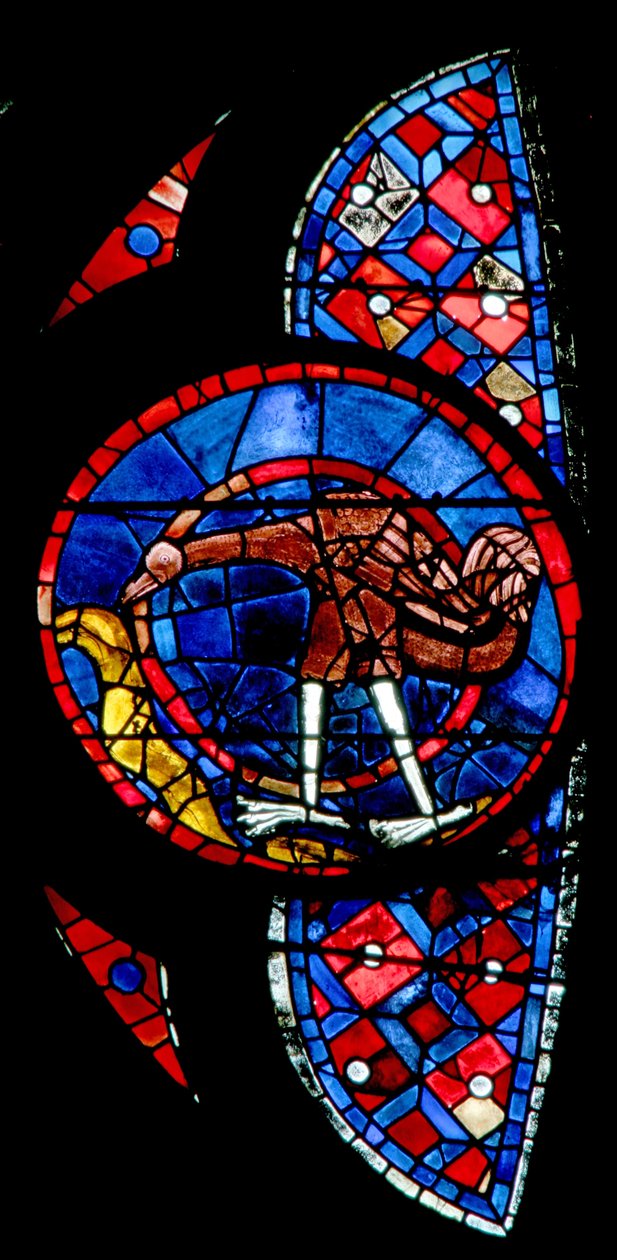 Window w115 depicting the Creation of the birds - an unusual bird by French School