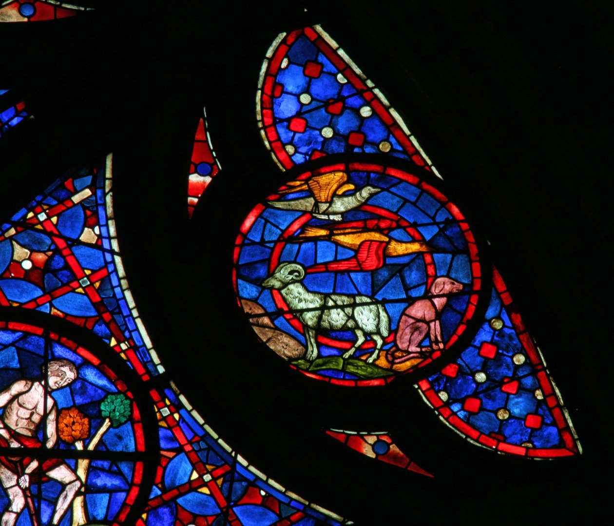 Window w115 depicting the Creation of the birds and animals by French School