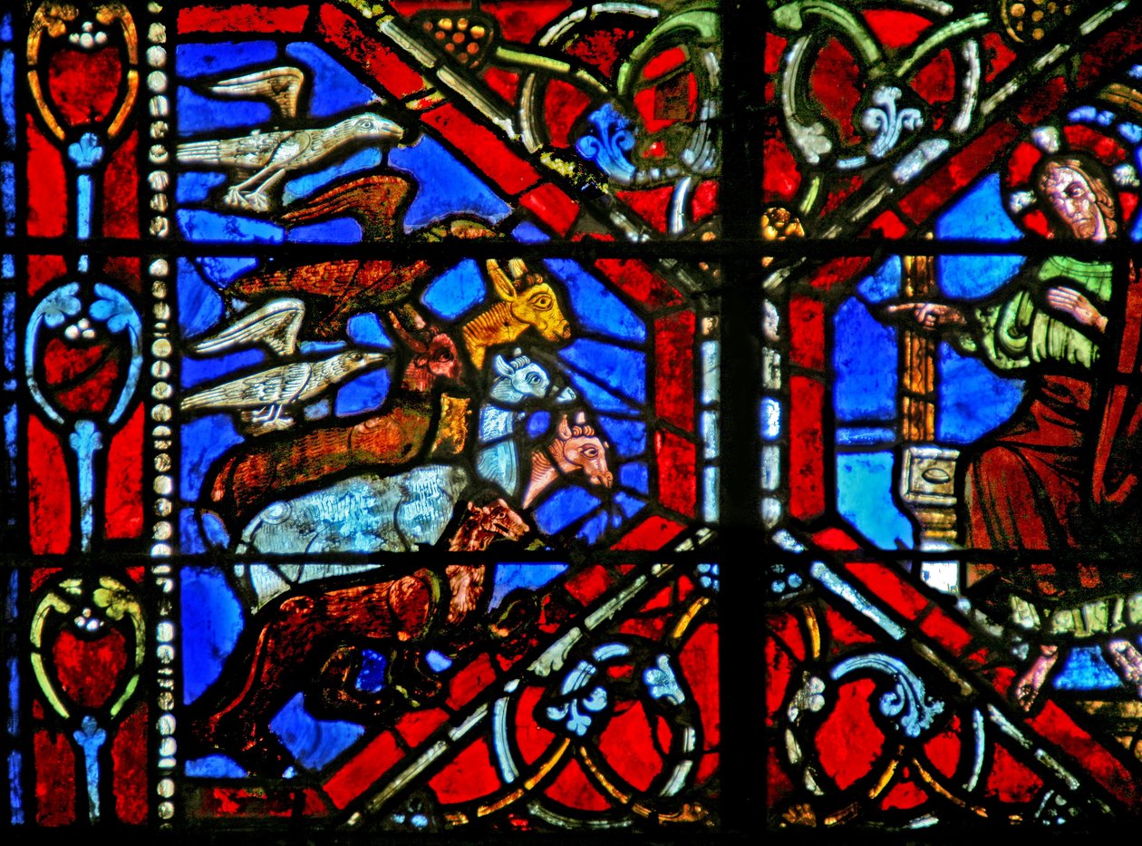 Creation of the Birds and Animals by French School
