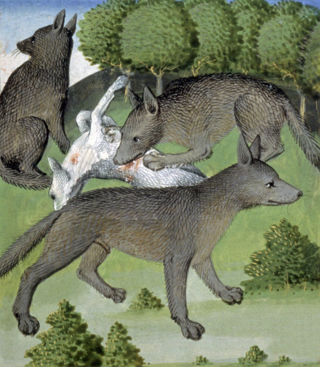 Wolves by French School