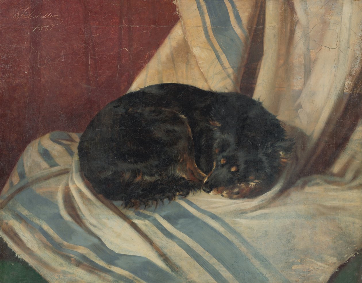 Study of a Dog Lying Down by Friedrich Carl von Scheidlin