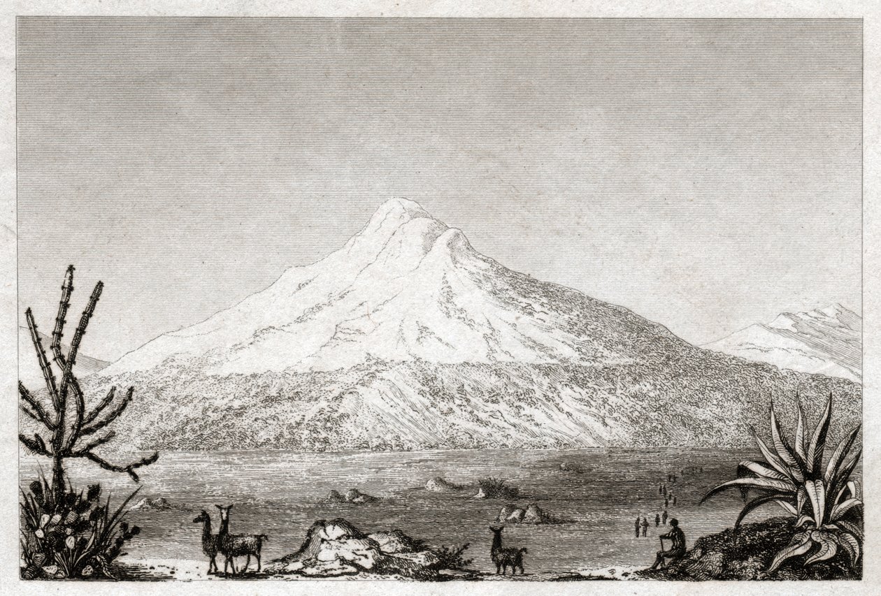 Chimborazo volcano by Friedrich Alexander Baron von (after) Humboldt