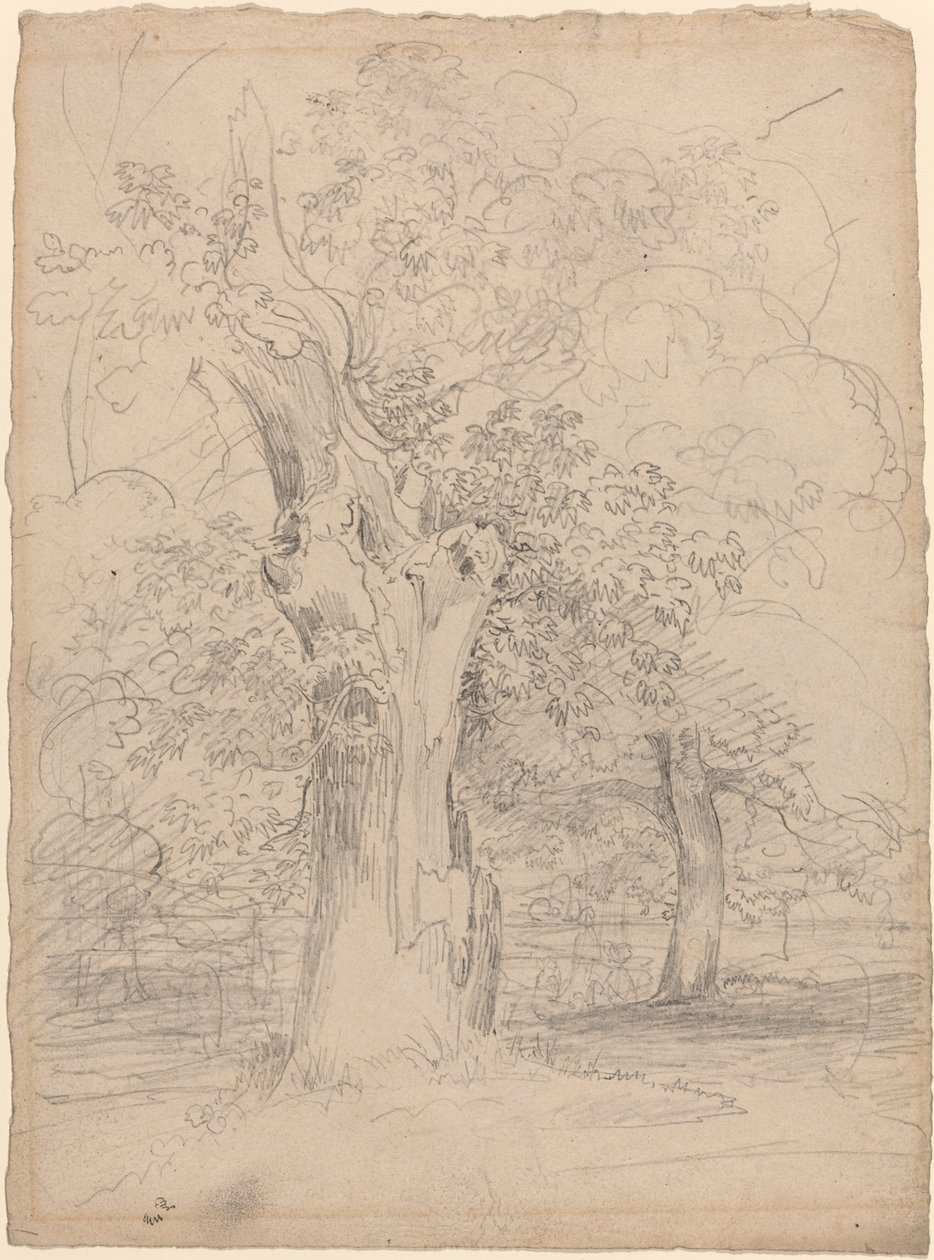 An Ancient Tree with Figures in a Landscape by Friedrich Salathé