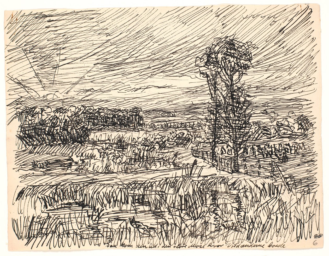 Then it came out into the great Marsh where the Wild Ducks lived by Fritz Syberg
