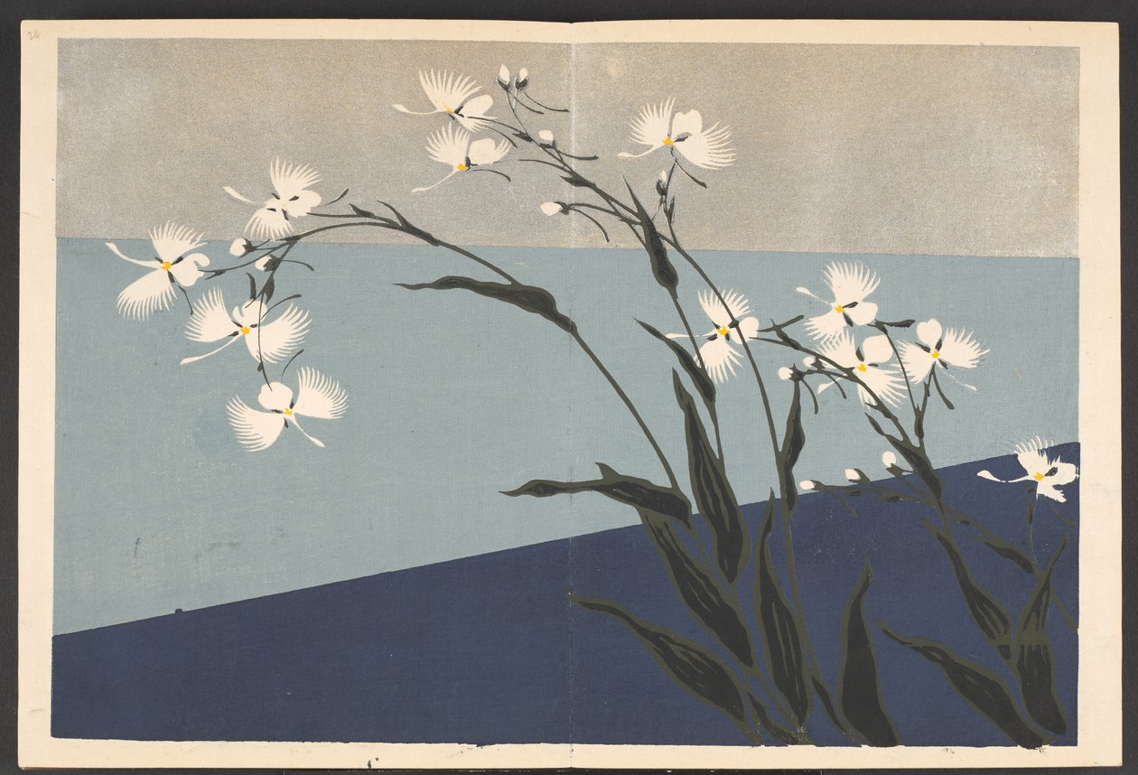 Patterns of plants and flowers from life by Furuya Korin