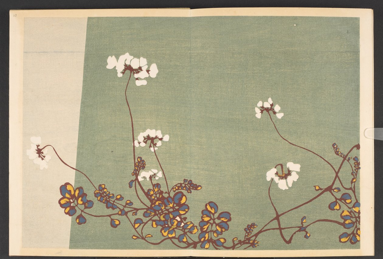 Patterns of Plants and Flowers from Life by Furuya Korin