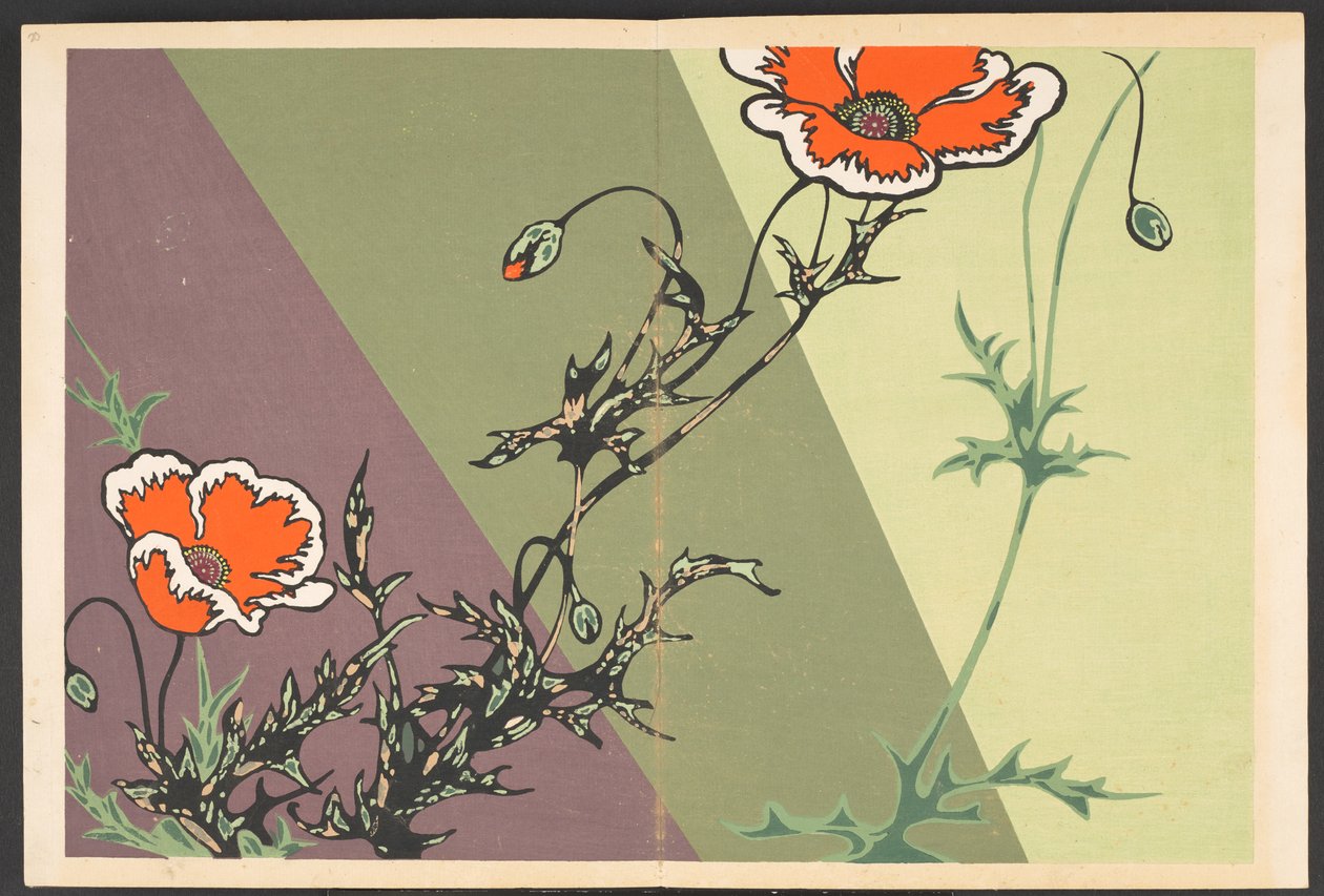 Patterns of Plants and Flowers from Life by Furuya Korin