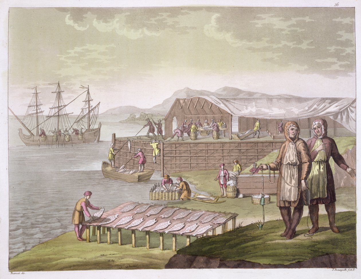 The fishing industry, Newfoundland, from 