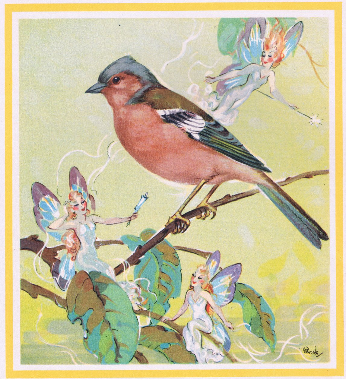 Chaffinch by G. Brooks
