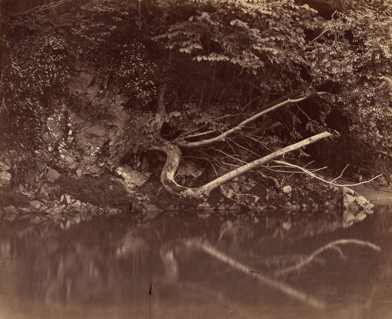 River Bank in the Vale of Neath by G.B. Gething