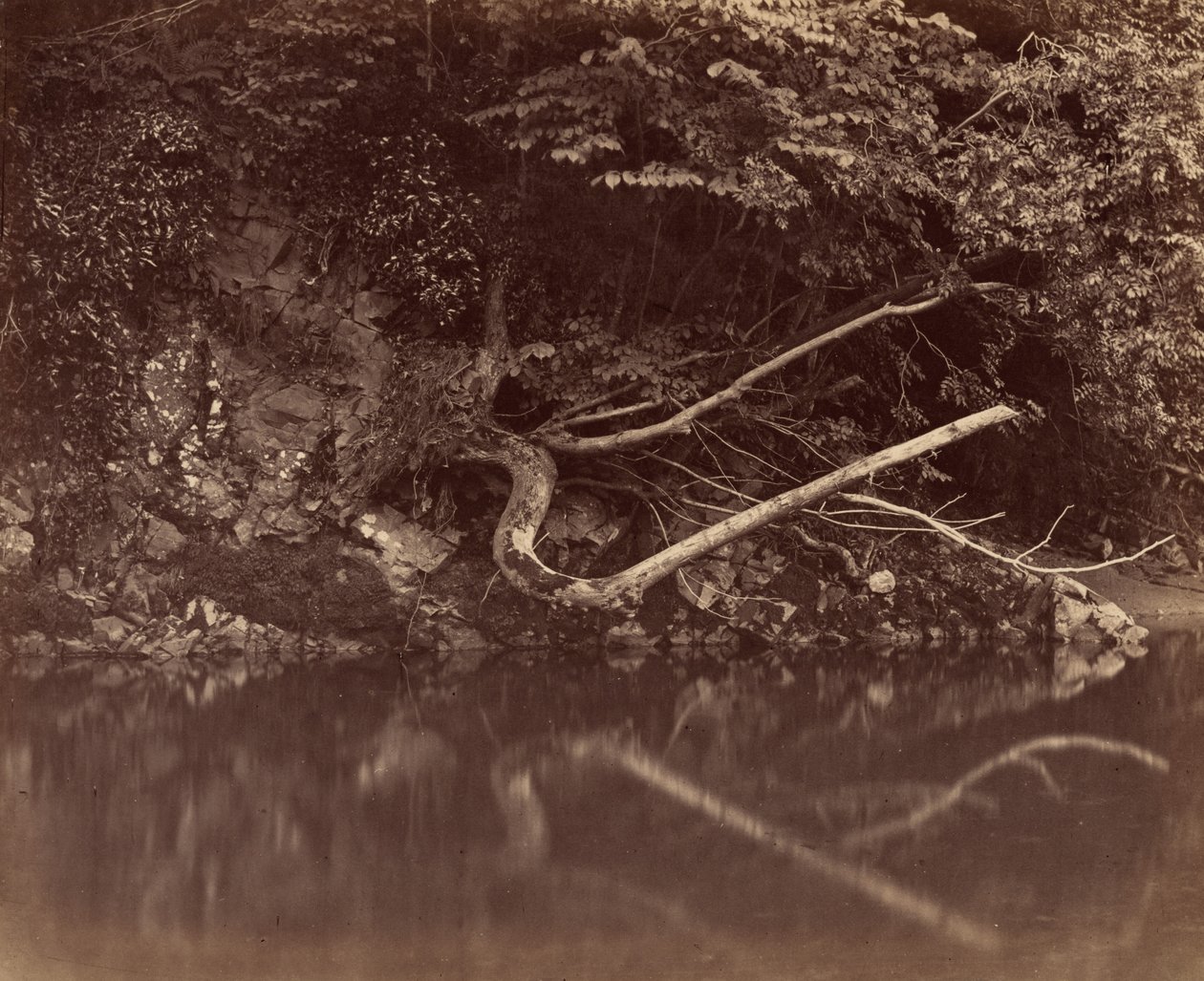 River Bank in the Vale of Neath by G. B. Gething