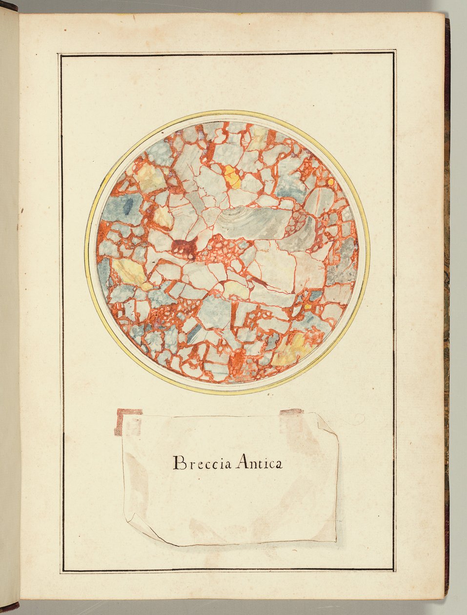 Breccia Antica, from Various Stone Types, Italy by Gaetano Piccini