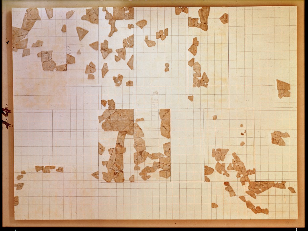 Remnant of a cadastre by Gallo Roman