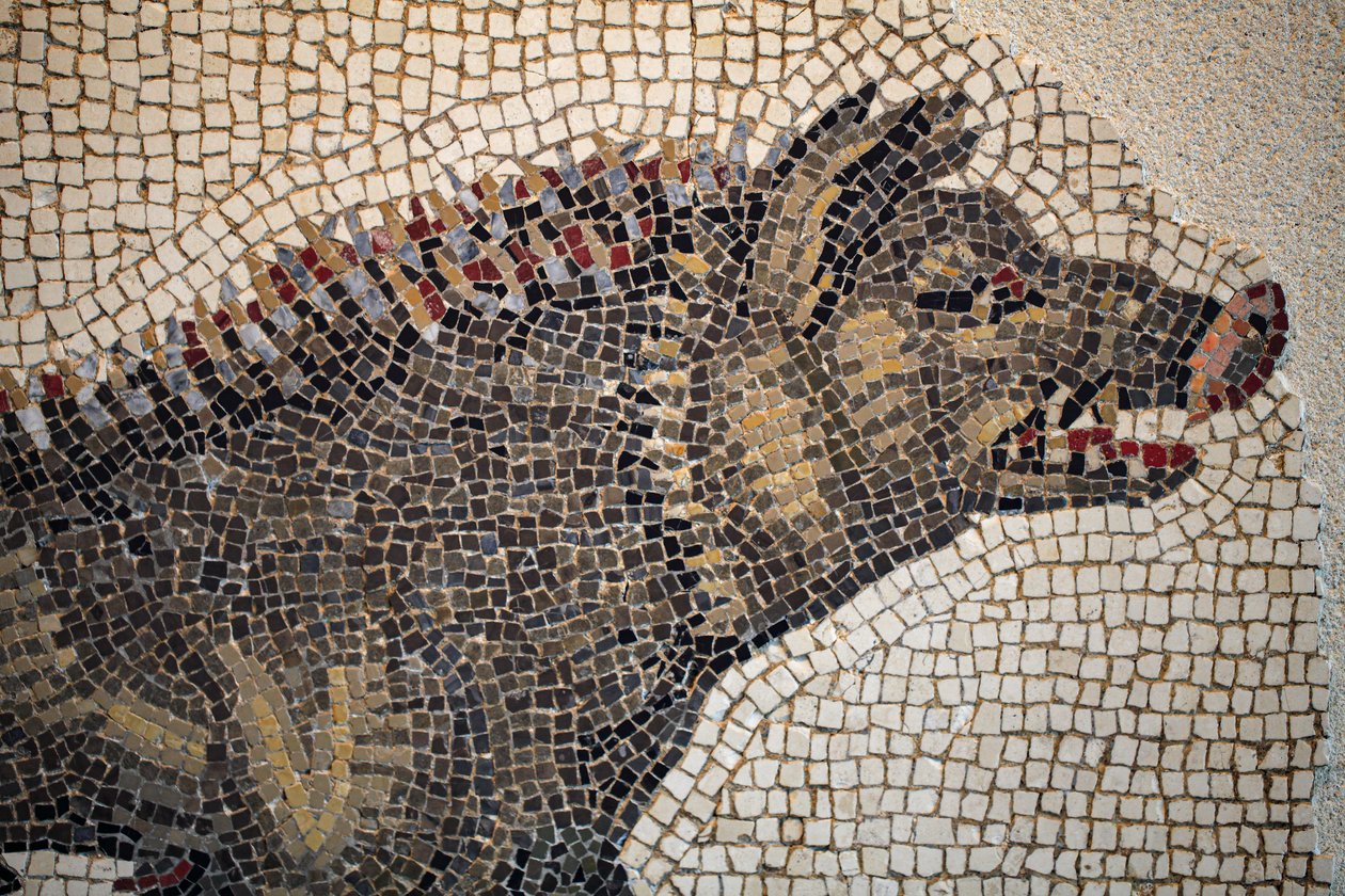 Roman Mosaic by Gallo-Roman