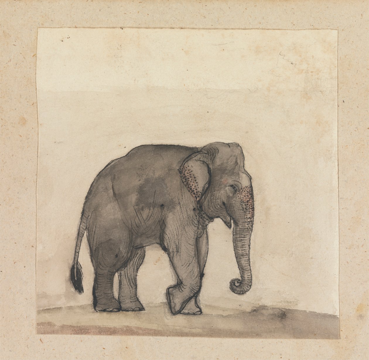 Elephant by Gangaram Chintaman Tambat