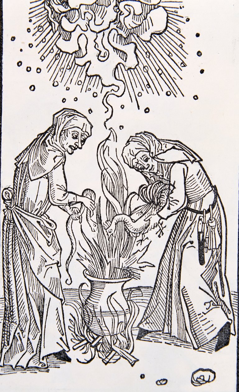 Treaty of Evil Women Called Witches by Garcia Pelayo