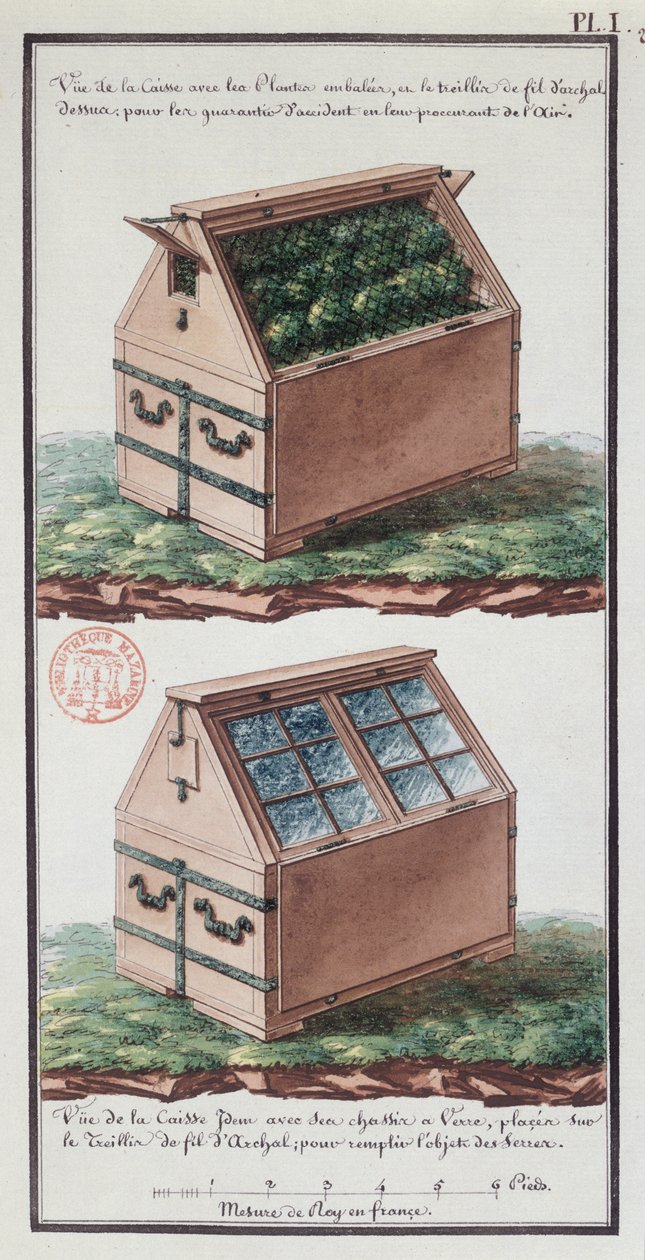 Illustration of a Chest of Drawers for Transporting Plants, from the Artist