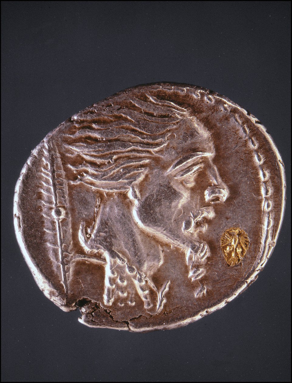 Presumed Profile of Vercingetorix on a Gauloise Piece. Museo del Medagliere. Milan by Gaulish Gaulish