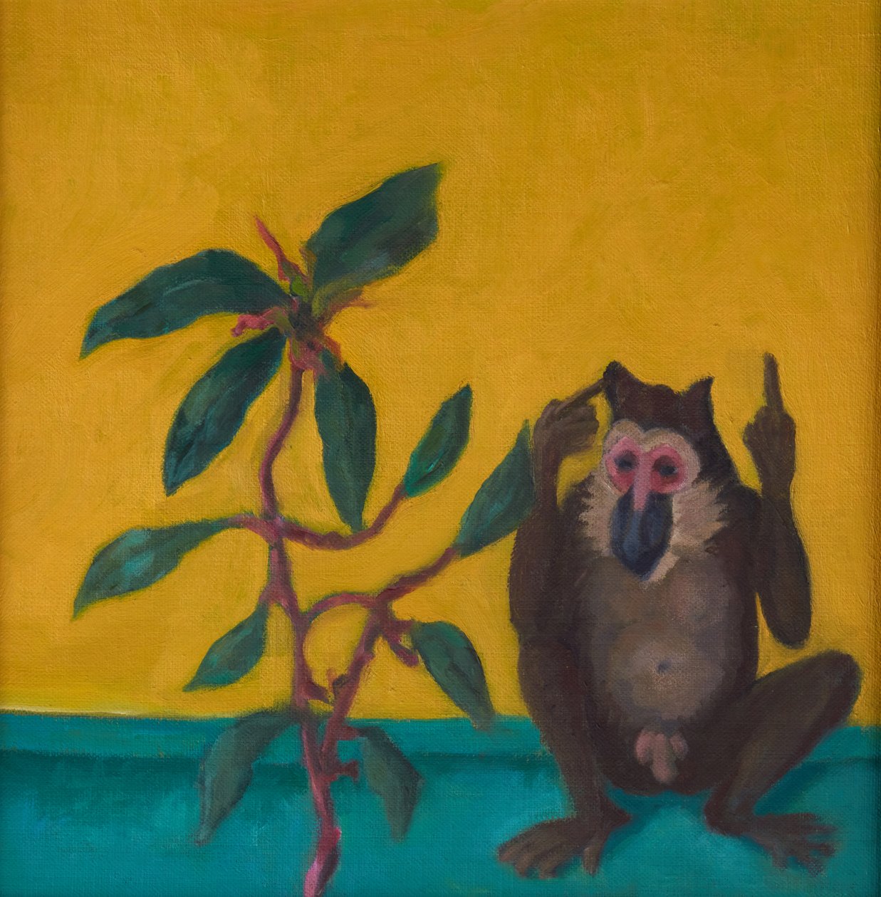 Monkey Says No, 2024 by Genevieve French