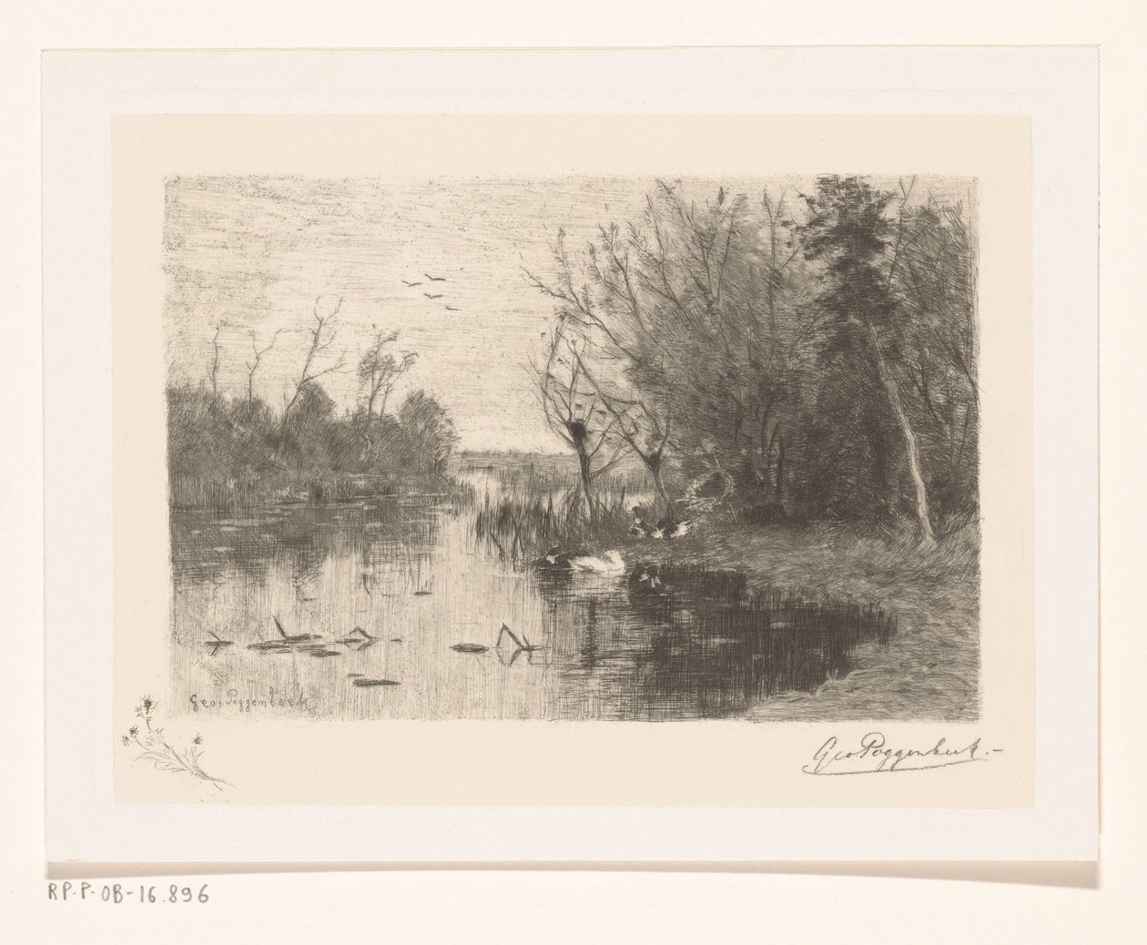 Ducks Along and On the Shore of a Pond (Duck Pond) by Geo Poggenbeek (signed by artist)