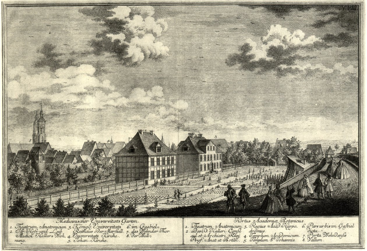 Goettingen Old Botanical Garden by Georg Daniel Heumann