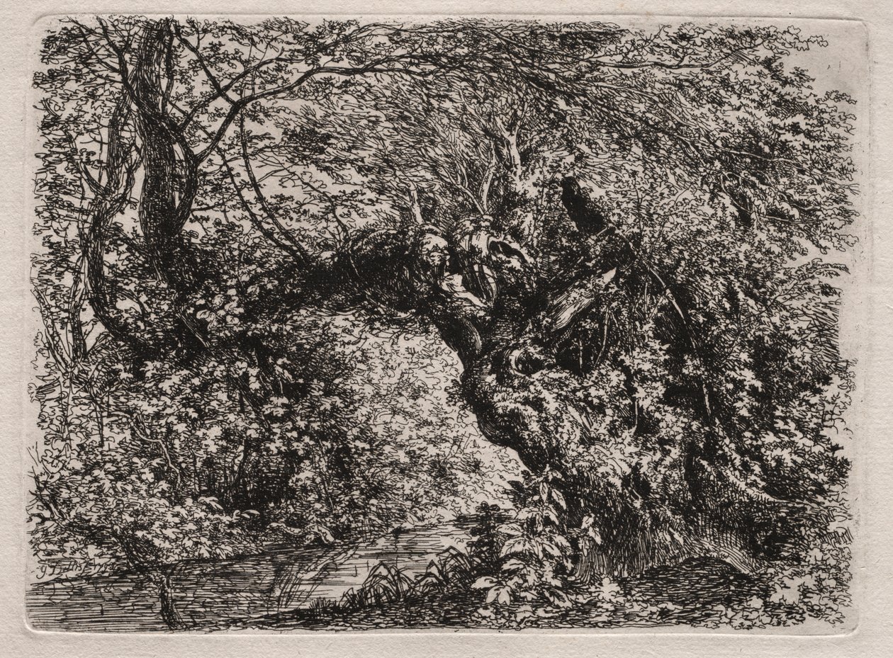 The Old Willow at a Brook by Georg von Dillis