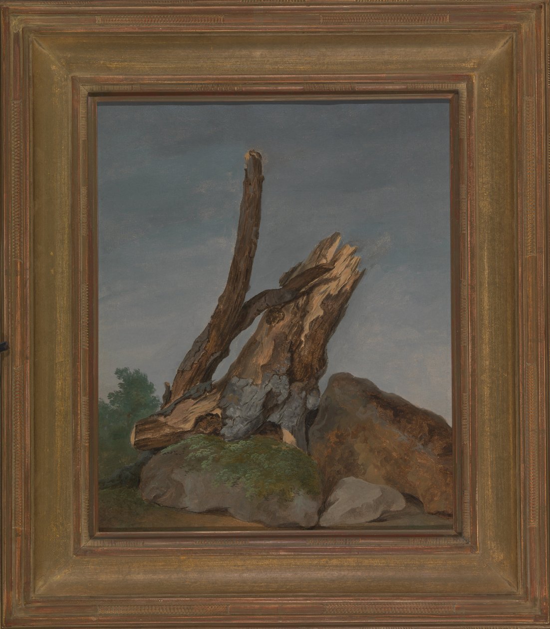 Study of Rocks and Branches by George Augustus Wallis