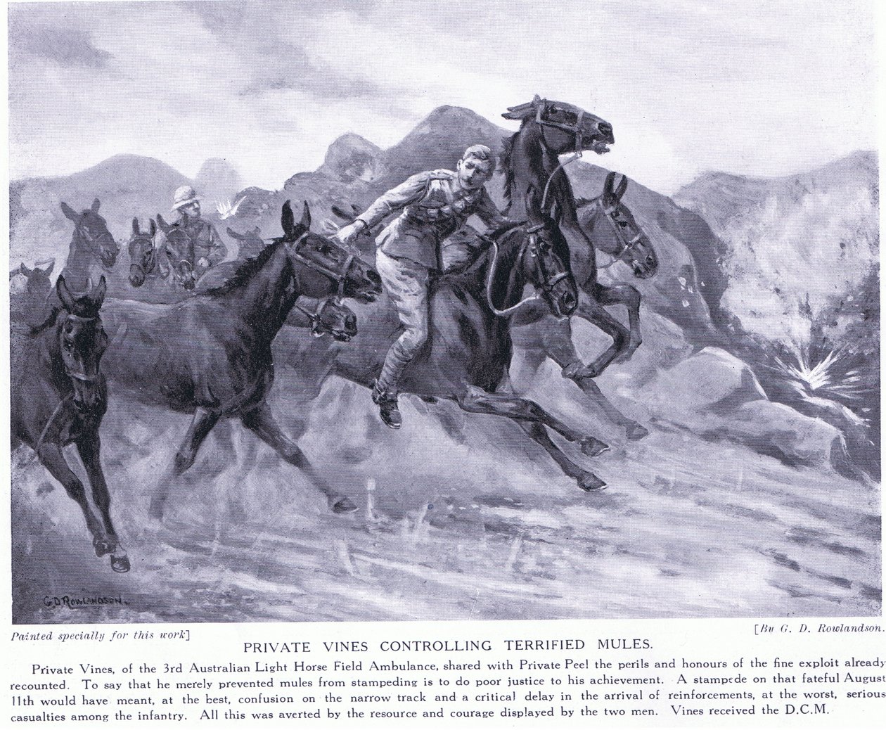 Private Vines awarded the DCM for controlling terrified mules August 1915 by George Derville Rowlandson