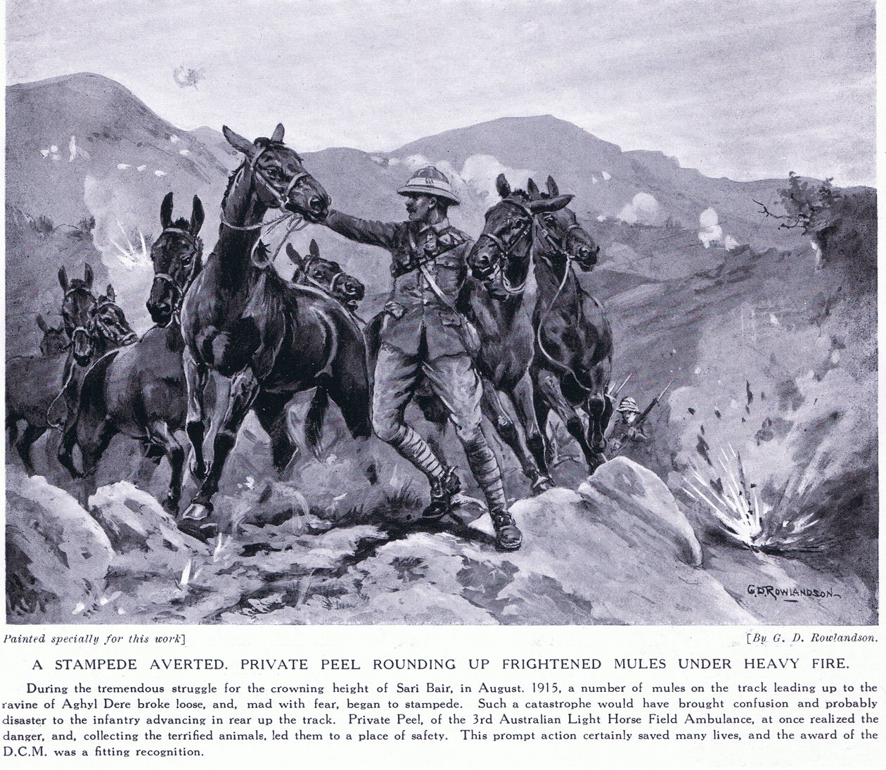 Stampede averted Private Peel rounding up frightened mules at Sari Bair August 1915 by George Derville Rowlandson