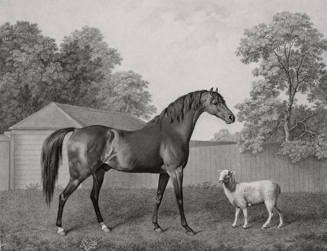Dungannon, engraved by George Townley Stubbs by George Stubbs