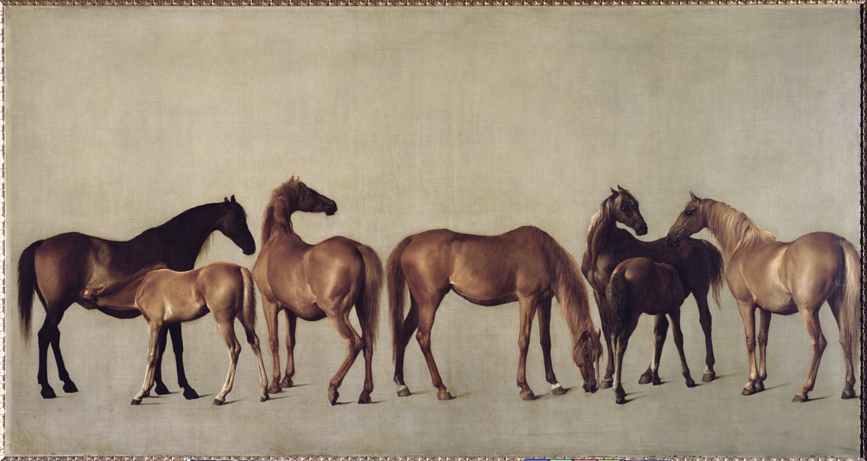 Mares and Foals without a Background, c.1762 by George Stubbs