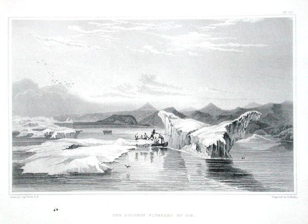 The Dolphin Squeezed by Ice, from 