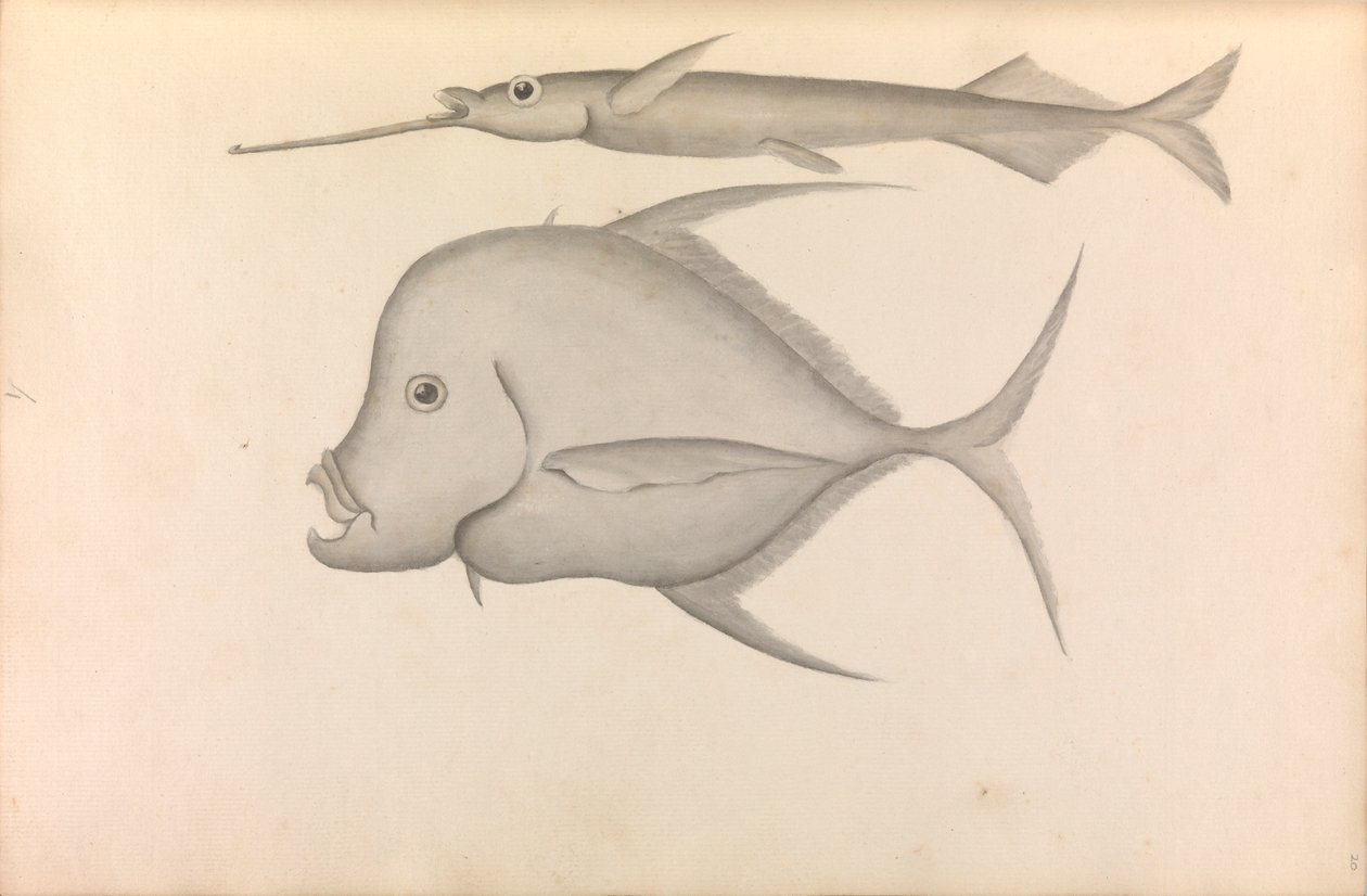 Account of Commodore George Anson
