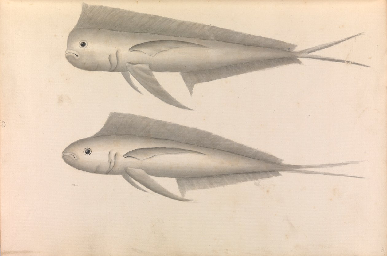 Account of Commodore George Anson
