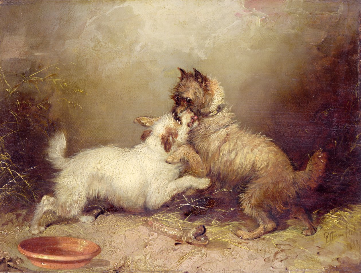 The Bone of Contention by George Armfield