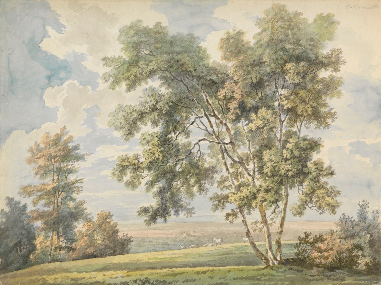 Landscape with Trees and Sheep (Park Landscape with Sheep) by George Barret