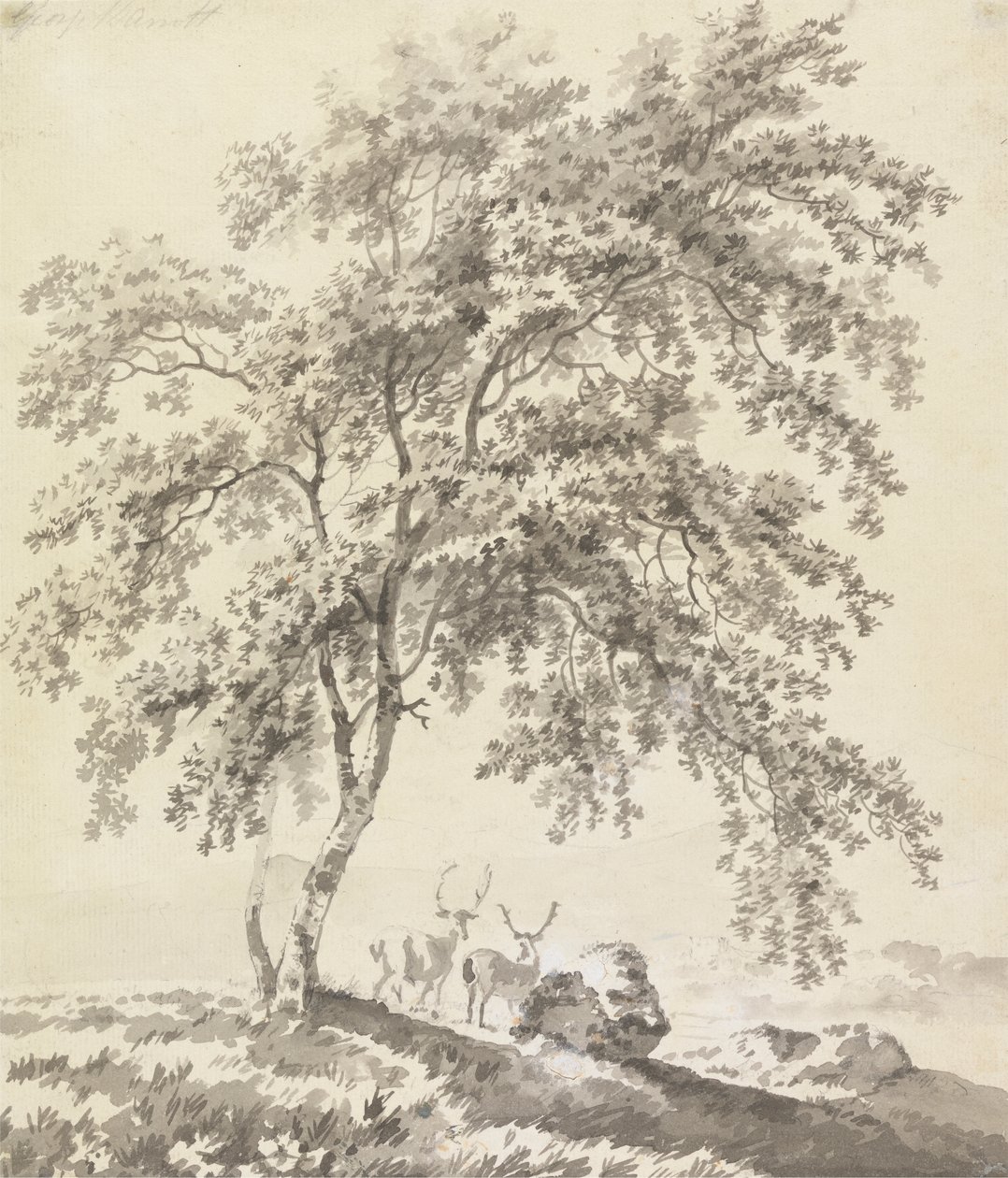 Tree Study with Stags (Landscape) by George Barret
