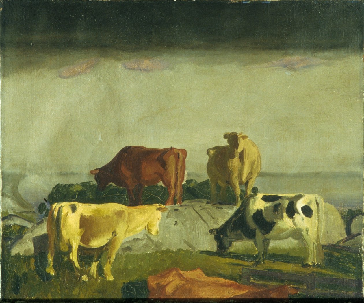 The Red Vine, Matinicus Island, Maine by George Bellows