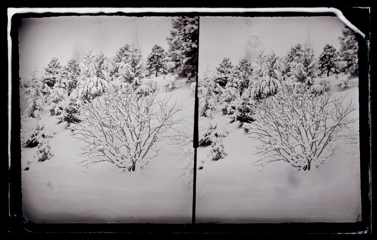 Prospect Park, Brooklyn by George Bradford Brainerd