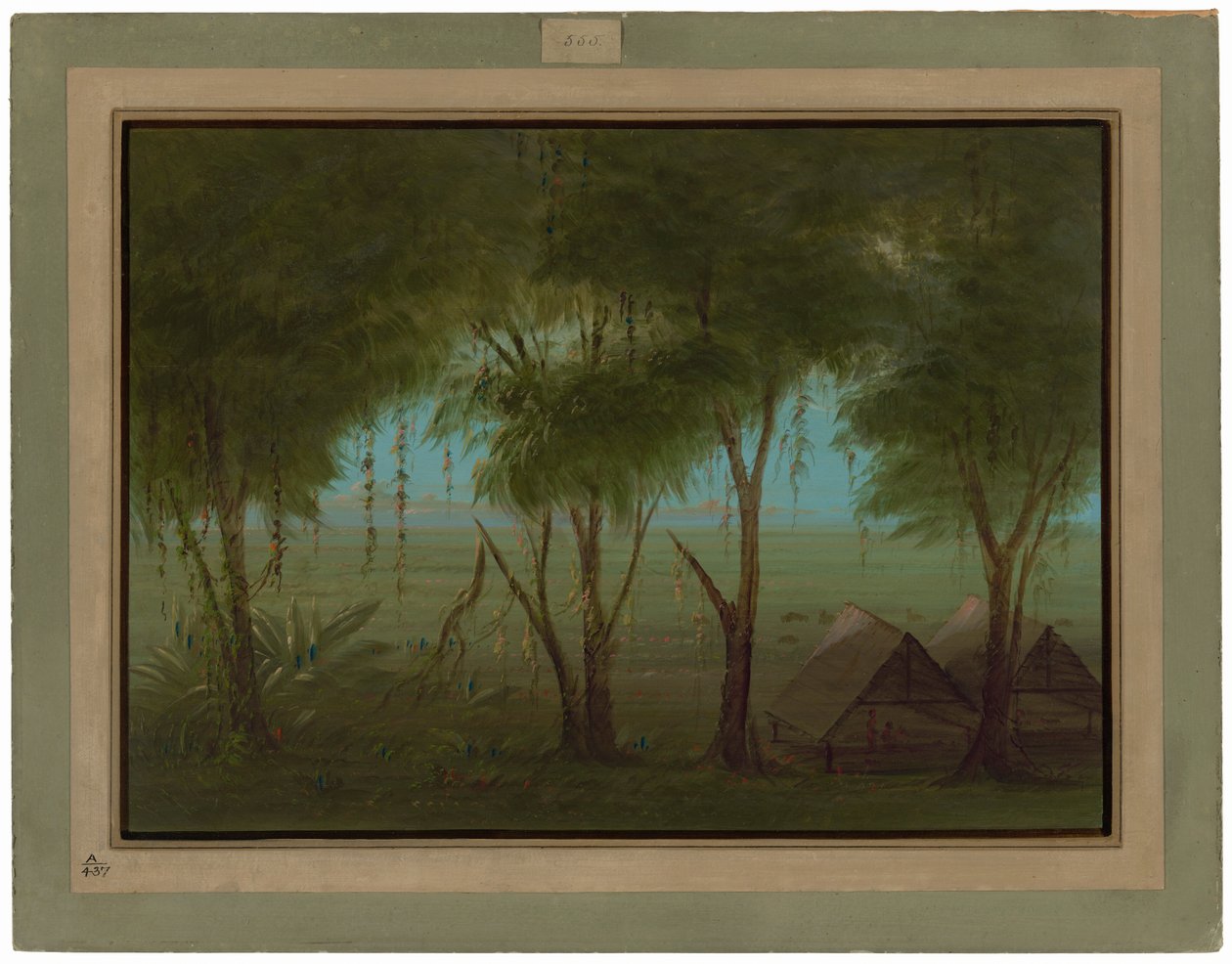 A Connibo Village by George Catlin