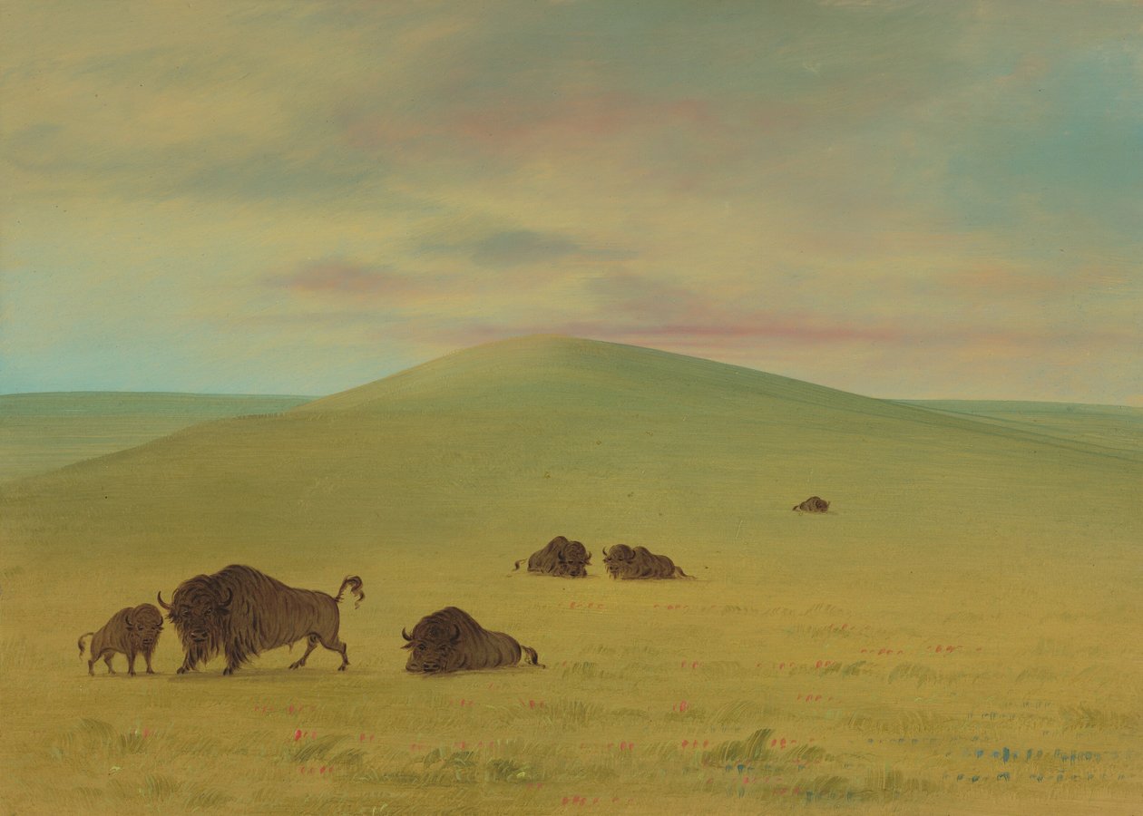 American Pasturage - Prairies of the Platte by George Catlin
