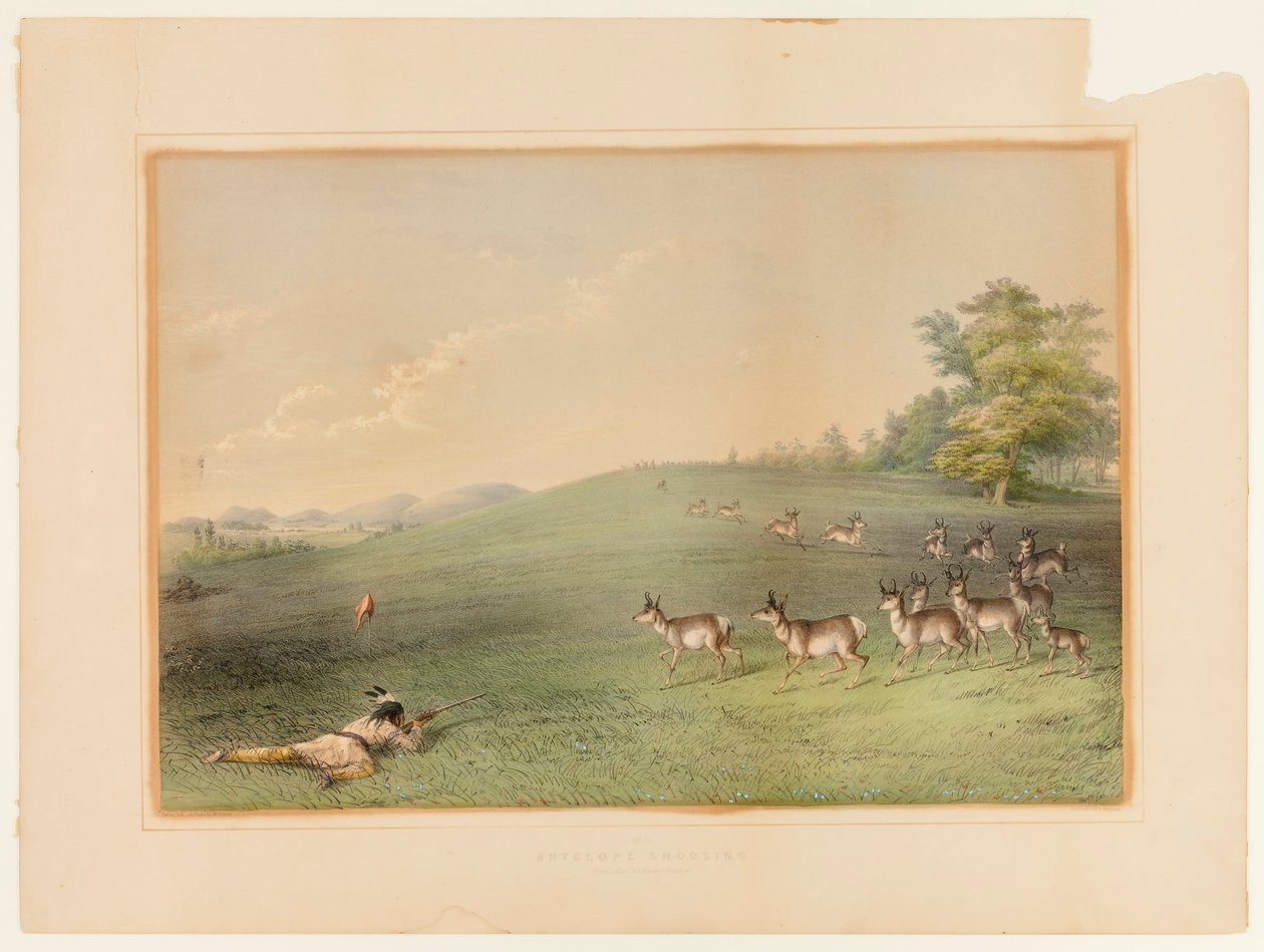 Antelope Shooting--no. 20 by George Catlin