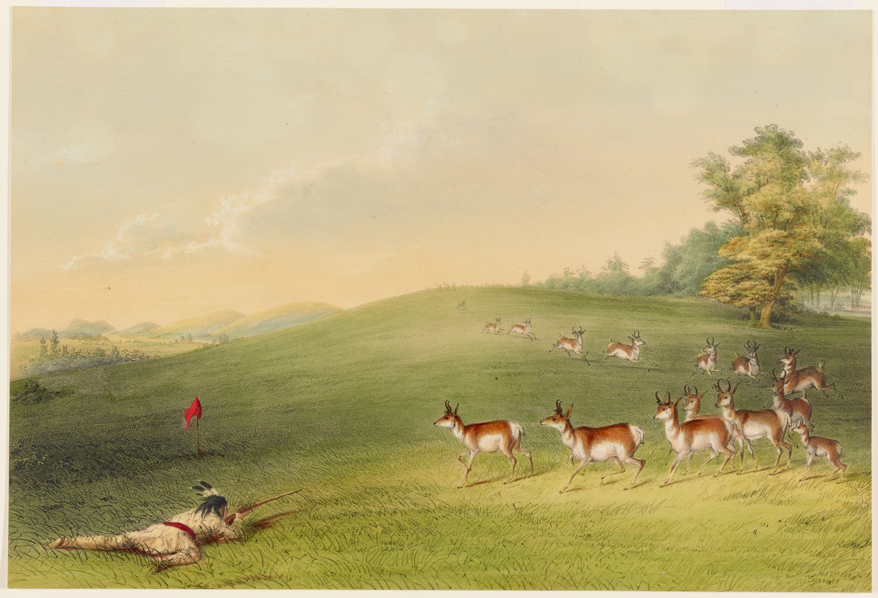 Antelope Shooting by George Catlin