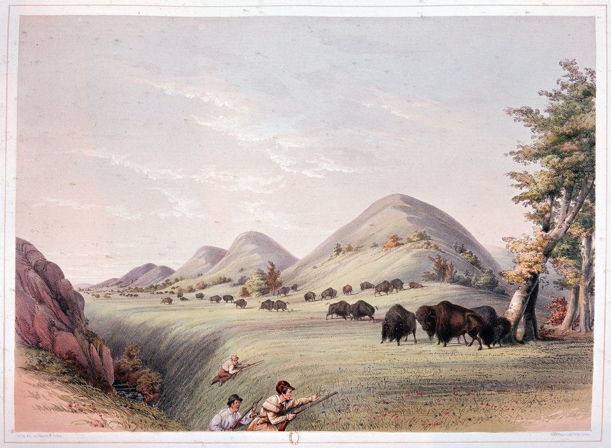 Bison Hunt by George Catlin