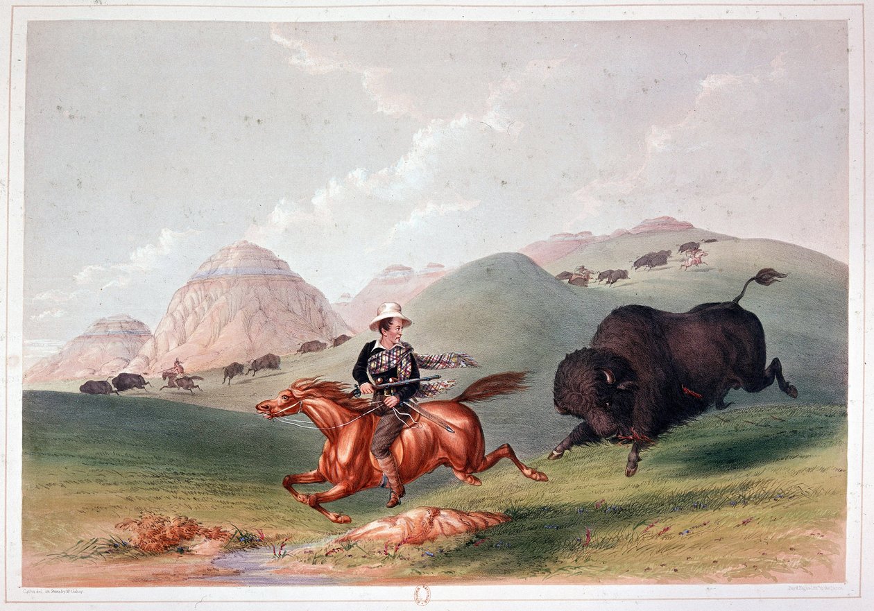 Bison Hunt in North America - lithography by Georges Catlin by George Catlin