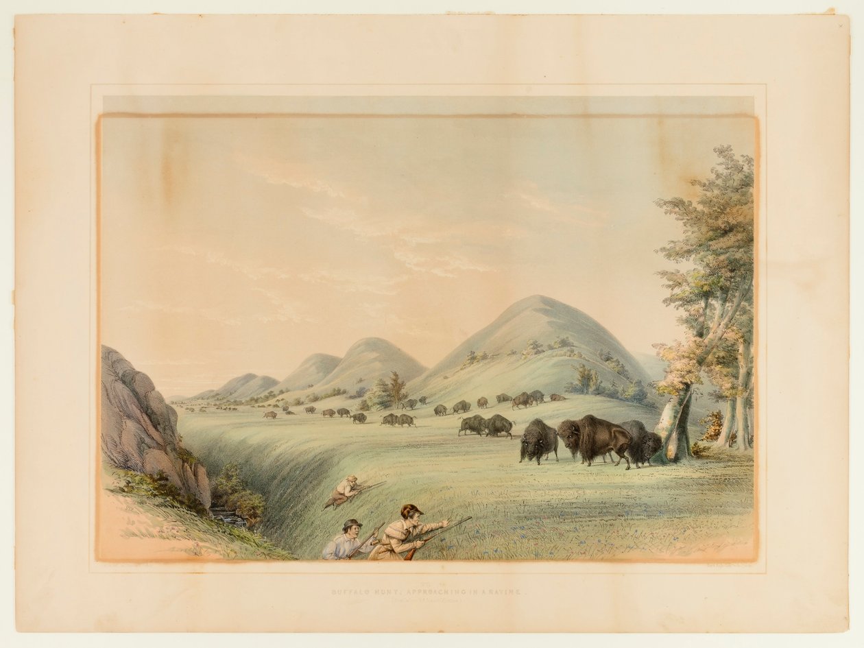 Buffalo Hunt; Approaching in a Ravine--no. 11 by George Catlin